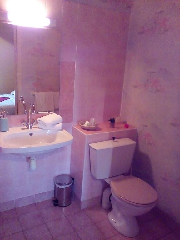 Le Relais De La Caleche Hotel Saint-Denis-dʼAnjou Kültér fotó